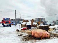 Коз и свиней спасли&nbsp;тюменские огнеборцы на пожаре в селе Княжево&nbsp;
