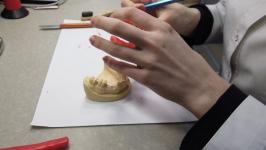 30 тюменских студентов участвуют в региональном этапе чемпионата "Профессионалы"