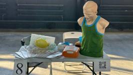 Тюменская молодежь познакомилась с работой студенческих отрядов на форуме "Труд крут"