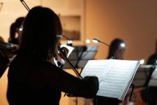 Парижский променад устроили тюменцам музыканты в музее Словцова