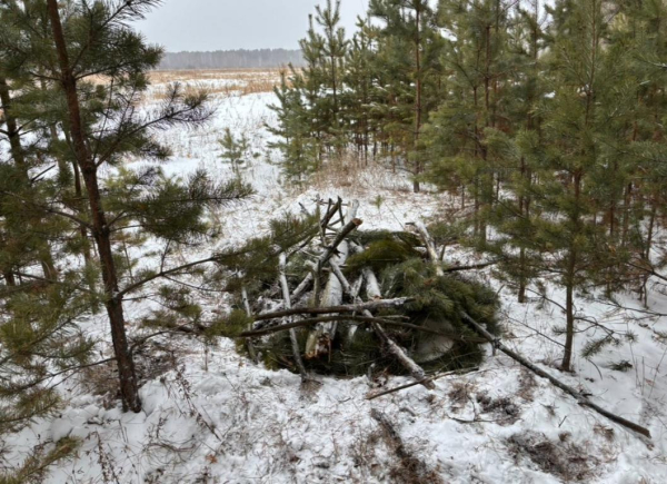 Тюменец спрятал в лесу 12 бочек с прекурсорами для производства наркотиков