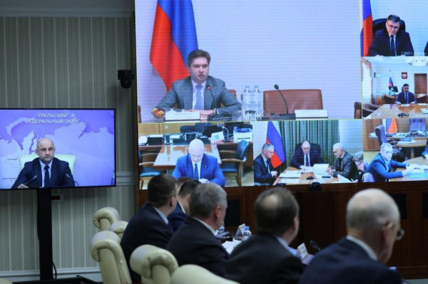 Артём Жога обратил внимание на перспективную разработку редкоземельных металлов