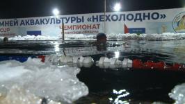 Ночной заплыв прошел на "Озере Чемпионов" в Тюмени