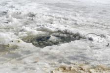 Жителей Тюменской области предупредили об опасности льда весной