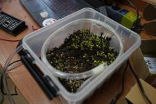 Юные инженеры из России запустят в Тюменской области модели ракет Юные инженеры из России запустят в Тюменской области модели ракет