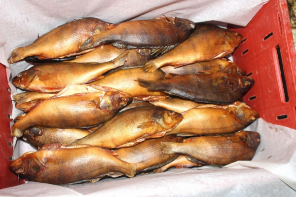 Тюменские технологи улучшают производство рыбной продукции в Салехарде