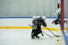 В Тюмени открыли ледовый спортивный клуб "Эскимо" В Тюмени открыли ледовый спортивный клуб "Эскимо"