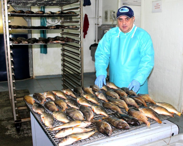 Тюменские технологи улучшают производство рыбной продукции в Салехарде