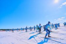 Тюменская область вошла в топ-3 регионов по числу участников Югорского лыжного марафона