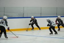 В Тюмени открыли ледовый спортивный клуб "Эскимо" В Тюмени открыли ледовый спортивный клуб "Эскимо"