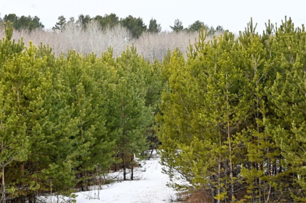 Восемь объектов для развития туриндустрии выделили в Тюменской области