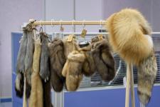 Уникальную выставку представили ко Дню Уватского района в Тюменской облдуме Уникальную выставку представили ко Дню Уватского района в Тюменской облдуме