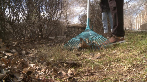 Тюменские журналисты привели в порядок свой сквер Тюменские журналисты привели в порядок свой сквер