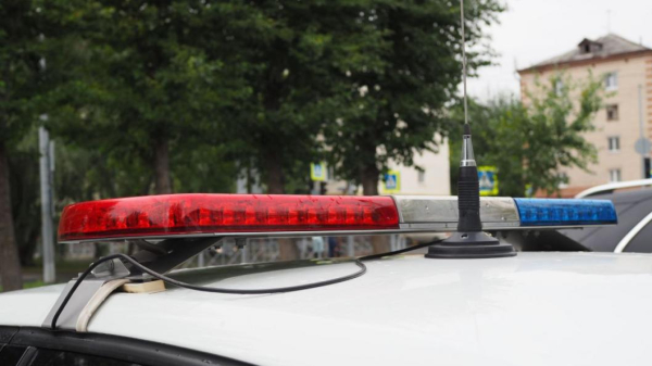 В Тюменской области погиб один юный пассажир питбайка и ранены трое подростков