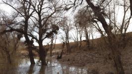 Временные земляные насыпи для защиты от паводка возвели на трассе в Абатском районе