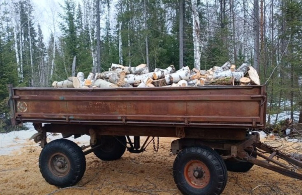 Черного лесоруба обнаружили инспекторы в лесу Вагайского района