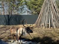 Национальный праздник "Вороний день" отметили в Тюменском районе