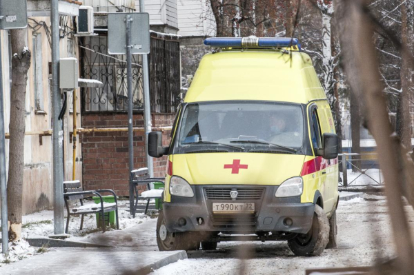 В Тюменской области хозяин агрессивной собаки выплатит 30 тыс. рублей пострадавшему подростку