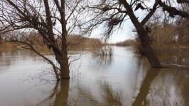 Временные земляные насыпи для защиты от паводка возвели на трассе в Абатском районе