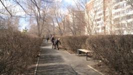 Тюменские журналисты привели в порядок свой сквер Тюменские журналисты привели в порядок свой сквер