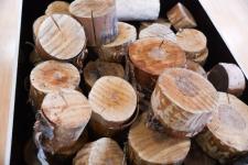 Тюменская область присоединилась к международной акции "Инженеры Победы" Тюменская область присоединилась к международной акции "Инженеры Победы"