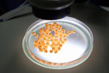 Уникальную выставку представили ко Дню Уватского района в Тюменской облдуме Уникальную выставку представили ко Дню Уватского района в Тюменской облдуме