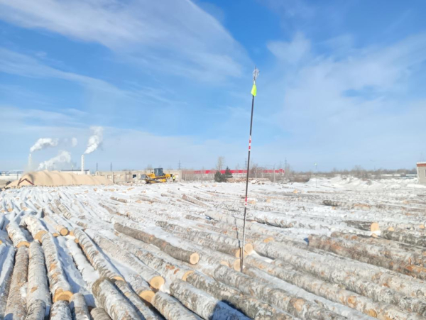 Комбинат "Свеза" в Тюмени завершил процесс снегования березового фанкряжа