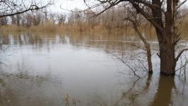 Временные земляные насыпи для защиты от паводка возвели на трассе в Абатском районе