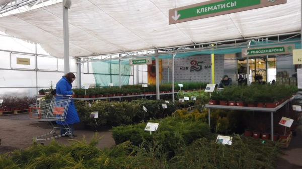 Эксперты советуют наводить порядок на садовых участках уже сейчас