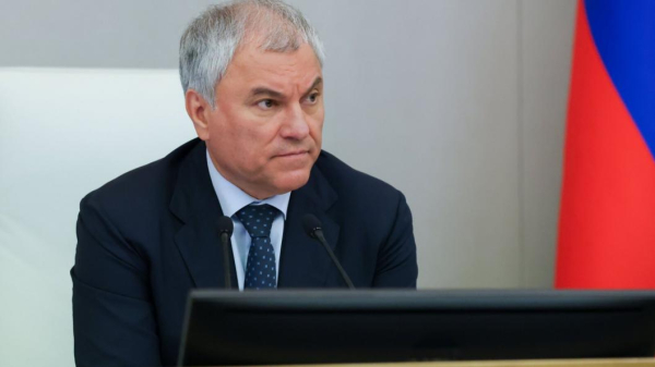 Володин: законы по борьбе с нелегальной миграцией начали работать Володин: законы по борьбе с нелегальной миграцией начали работать