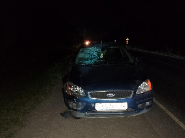 В Тюменском районе насмерть сбили пешехода