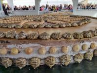 4,5-метровый торт в виде ключа испекли в Тобольске 4,5-метровый торт в виде ключа испекли в Тобольске