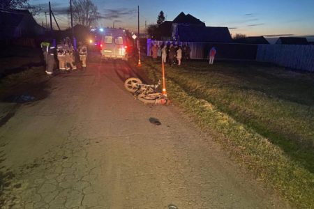 Двое детей пострадали в ТДП с мопедом под Заводоуковском