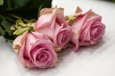 Волонтёры фонда "Путёвка в жизнь" встретились с бойцами СВО