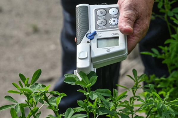 В Тюменской области обследуют 191,8 тыс. гектаров сельхозземель на сорняки и вредителей В Тюменской области обследуют 191,8 тыс. гектаров сельхозземель на сорняки и вредителей