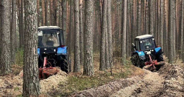 Более 1,5 тыс. километров новых минполос проложили в Тюменской области Более 1,5 тыс. километров новых минполос проложили в Тюменской области
