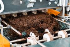 Тюменское предприятие запустило линию по посадке семян хвойных деревьев