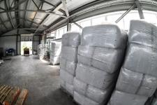 Тюменское предприятие запустило линию по посадке семян хвойных деревьев