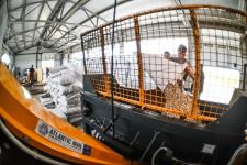 Тюменское предприятие запустило линию по посадке семян хвойных деревьев