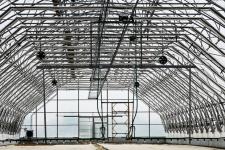 Тюменское предприятие запустило линию по посадке семян хвойных деревьев