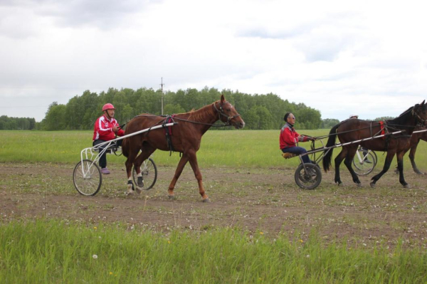 Любители конного спорта встретятся на турнире в Заводоуковском округе 