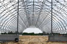 Тюменское предприятие запустило линию по посадке семян хвойных деревьев