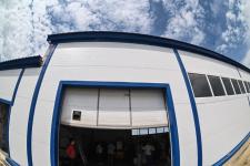 Тюменское предприятие запустило линию по посадке семян хвойных деревьев