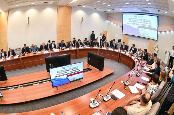 Тюменская и Согдийская области представили свои преимущества по привлечению инвесторов