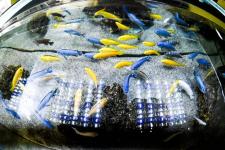 Тюменская система водоотведения на дорогах включена в федеральный реестр