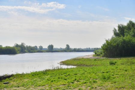 В Тобольском районе утонул мужчина