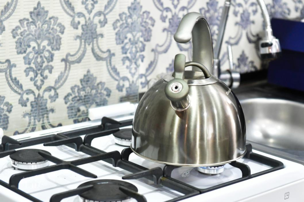 Инна Лосева: уровень газификации Тюменской области составляет 98 %