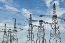 Тюменское предприятие запустило линию по посадке семян хвойных деревьев