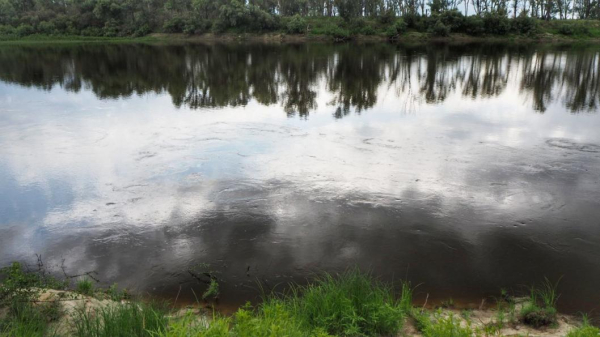 В Тюменской области выясняют обстоятельства гибели пенсионерки
