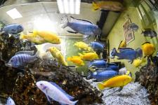 Тюменская система водоотведения на дорогах включена в федеральный реестр